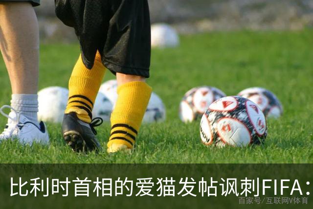 比利时首相的爱猫发帖讽刺FIFA：“红牌？”我照样继续踢！
